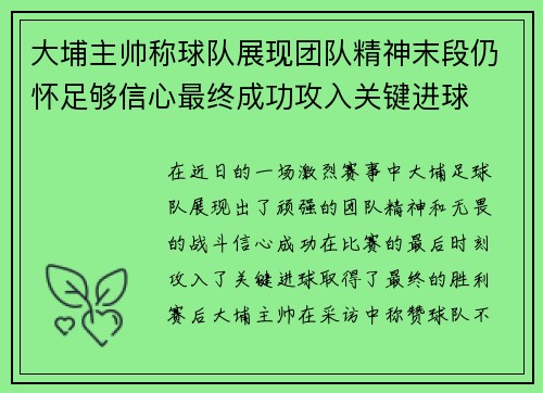 大埔主帅称球队展现团队精神末段仍怀足够信心最终成功攻入关键进球 大埔主帅称球队展现团队精神末段仍怀足够信心最终成功攻入关键进球